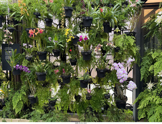 503 a2n. Longwood Gardens