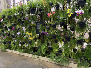 504 a2n. Longwood Gardens