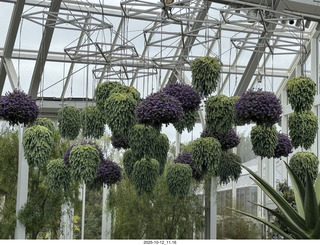 508 a2n. Longwood Gardens