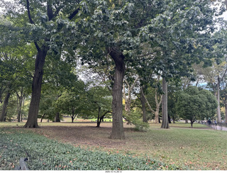 New York City - Russian restaurant Anthony, Anthony Junior, Olga