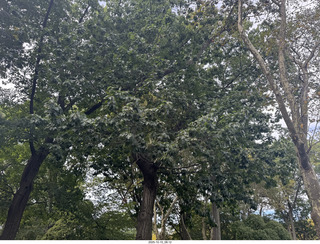 New York City - Central Park