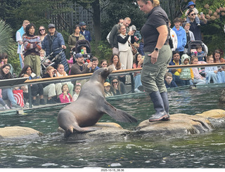 New York City - Central Park