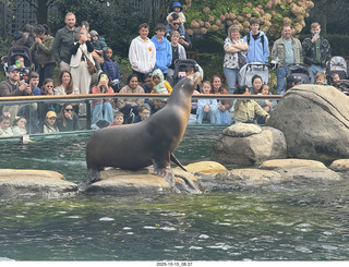 New York City - Central Park Zoo