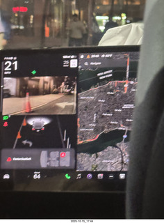 New York City - Central Park Zoo - sea lion