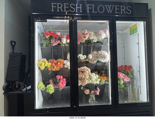 New York City - Novapetal