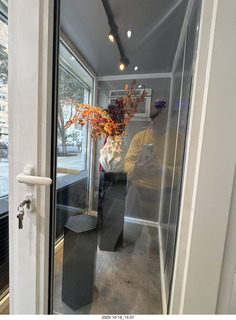 New York City - Novapetal