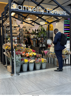 New York City - Novapetal