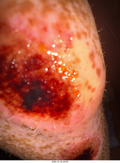 New York City - Empire State Building + Adam