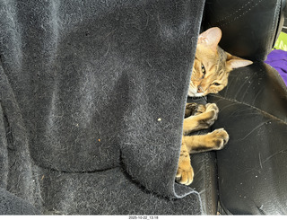 New York City - Empire State Building