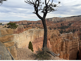 115 a2n. Bryce Canyon National Park Amphitheater