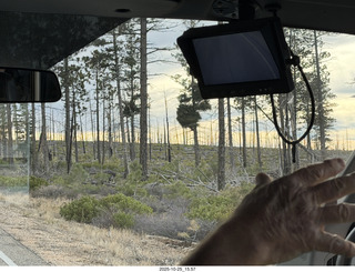 144 a2n. Bryce Canyon National Park burnt trees
