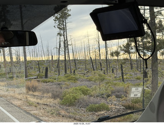 146 a2n. Bryce Canyon National Park burnt trees
