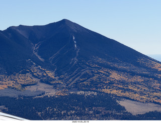 201 a2n. TF - leaves turning on Humphrey's Peak