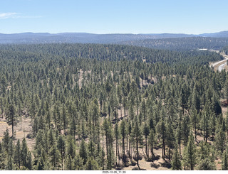 270 a2n. aerial - forest south of Flagstaff, Arizona