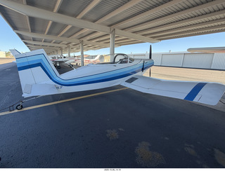 333 a2n. FFZ - my short-wing neighbor