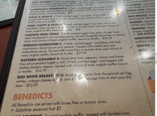 cat Pickle on my shoulder