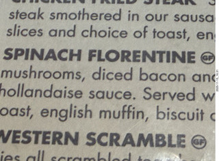 cat Pickle on my shoulder