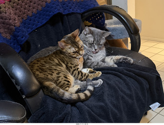 my pilot certificate