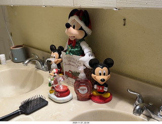 Saenz Thanksgiving - Mickey Mouse bathroom