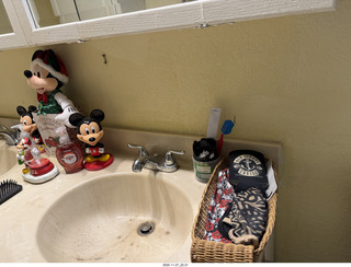 Birds' Mickey Mouse wallpaper