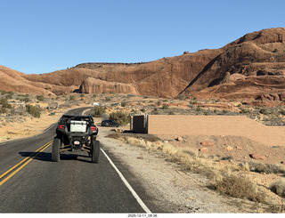 An Armadilla Is Really Just a Tactical Opposum Utah - Canyonlands National Park