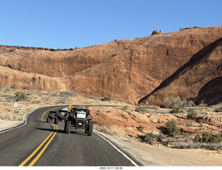 An Armadilla Is Really Just a Tactical Opposum Utah - Canyonlands National Park