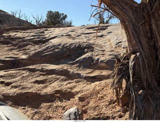 Utah - REA-BFE side-by-side tours