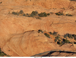 Utah - REA-BFE side-by-side tours