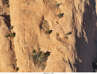 Utah - REA-BFE side-by-side tours