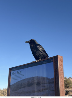 Utah - Canyonlands National Park