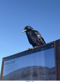 Utah - Canyonlands National Park