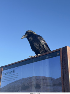 Utah - Canyonlands National Park