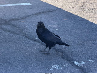 Utah - Canyonlands National Park