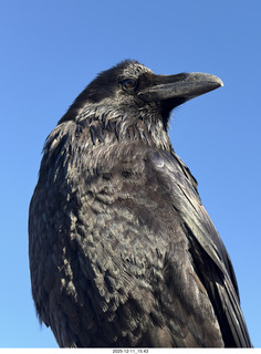 Utah - Canyonlands National Park