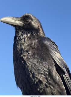 Utah - Canyonlands National Park