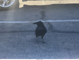 Utah - Canyonlands National Park