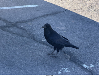 Utah - Canyonlands National Park