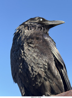 Utah - Canyonlands National Park