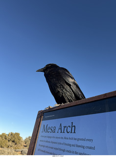 Utah - Canyonlands National Park