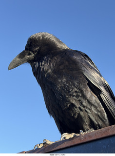 Utah - Canyonlands National Park