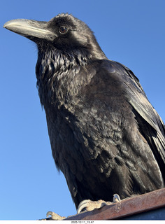 Utah - Canyonlands National Park