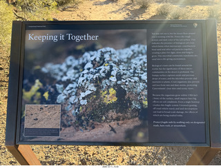 Utah - Canyonlands National Park