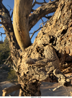 Utah - Canyonlands National Park
