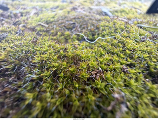 Utah - Canyonlands National Park