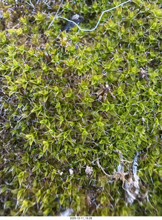 Utah - Canyonlands National Park