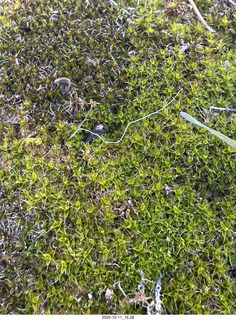 Utah - Canyonlands National Park