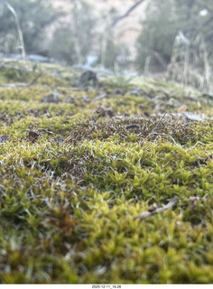 Utah - Canyonlands National Park