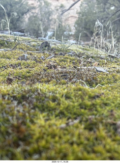 Utah - Canyonlands National Park