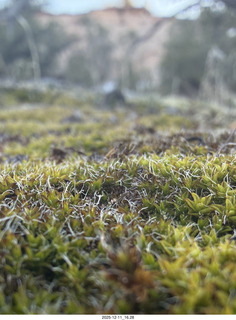 Utah - Canyonlands National Park
