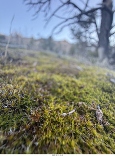 Utah - Canyonlands National Park